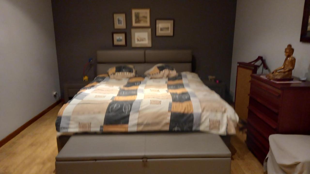 Luxe Appartement Met 3 Slaapkamers En 1 Kingsize Bed Slaapzetel En Drie Dubbelbedden Дендермонде Екстер'єр фото